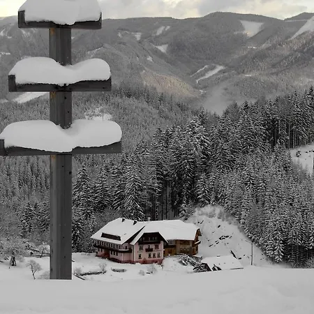 Gasthof Oswaldbauer Guest house